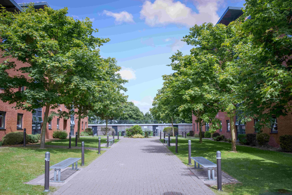 green-area-outside-accommodation green-area-outside-accommodation